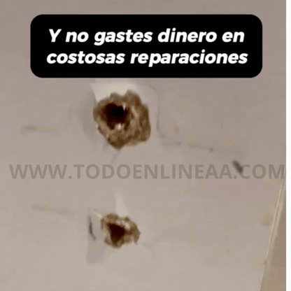 pack 12 Placas para Reparación Bisagras