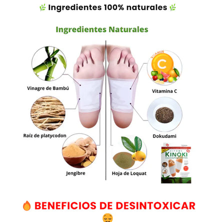 RelaxGo™ Pack 10 Cajas de 10 Parches Desintoxicantes Kinoki (100 unidades)